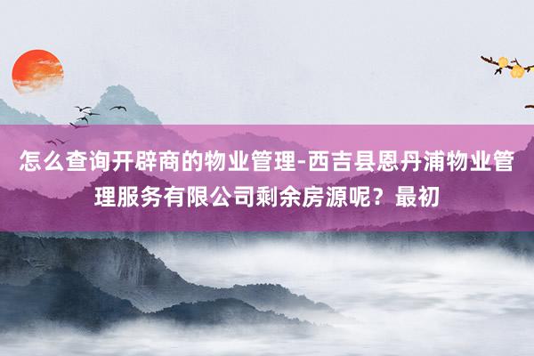 怎么查询开辟商的物业管理-西吉县恩丹浦物业管理服务有限公司剩余房源呢？最初